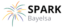 Spark Bayelsa